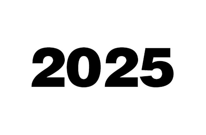 迈向未来，2025接！共创辉煌