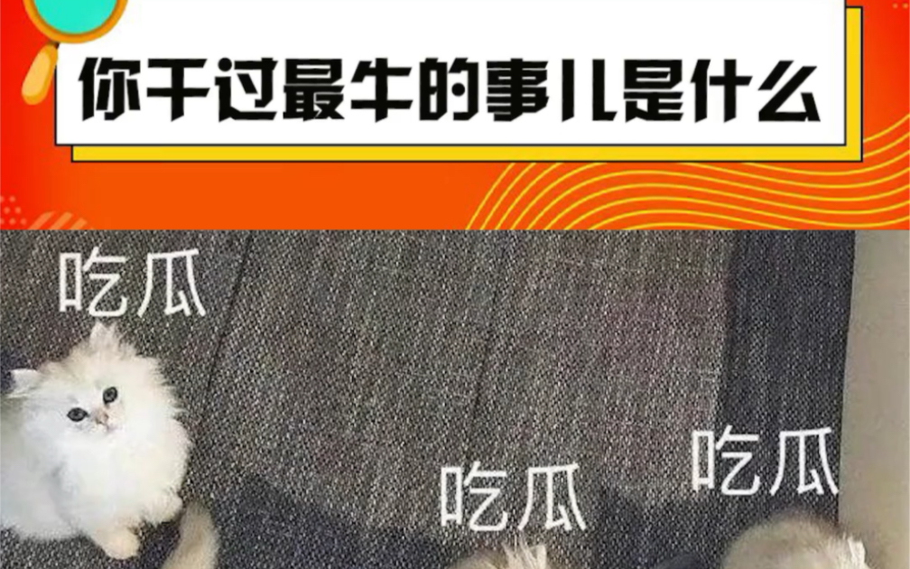 你这辈子做过最牛的事儿是什么？