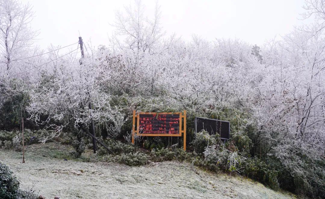 棉花代雪景区关闭背后真相揭秘，一场突如其来的暂停，究竟隐藏着什么？