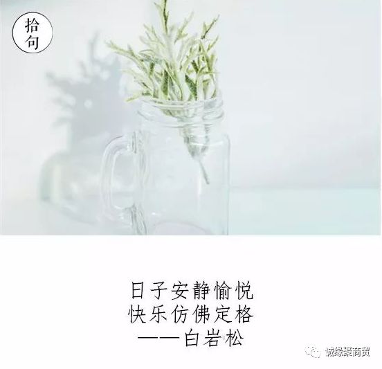 愿你三冬暖，愿你春不寒——情感关怀与网站开发的深度探讨