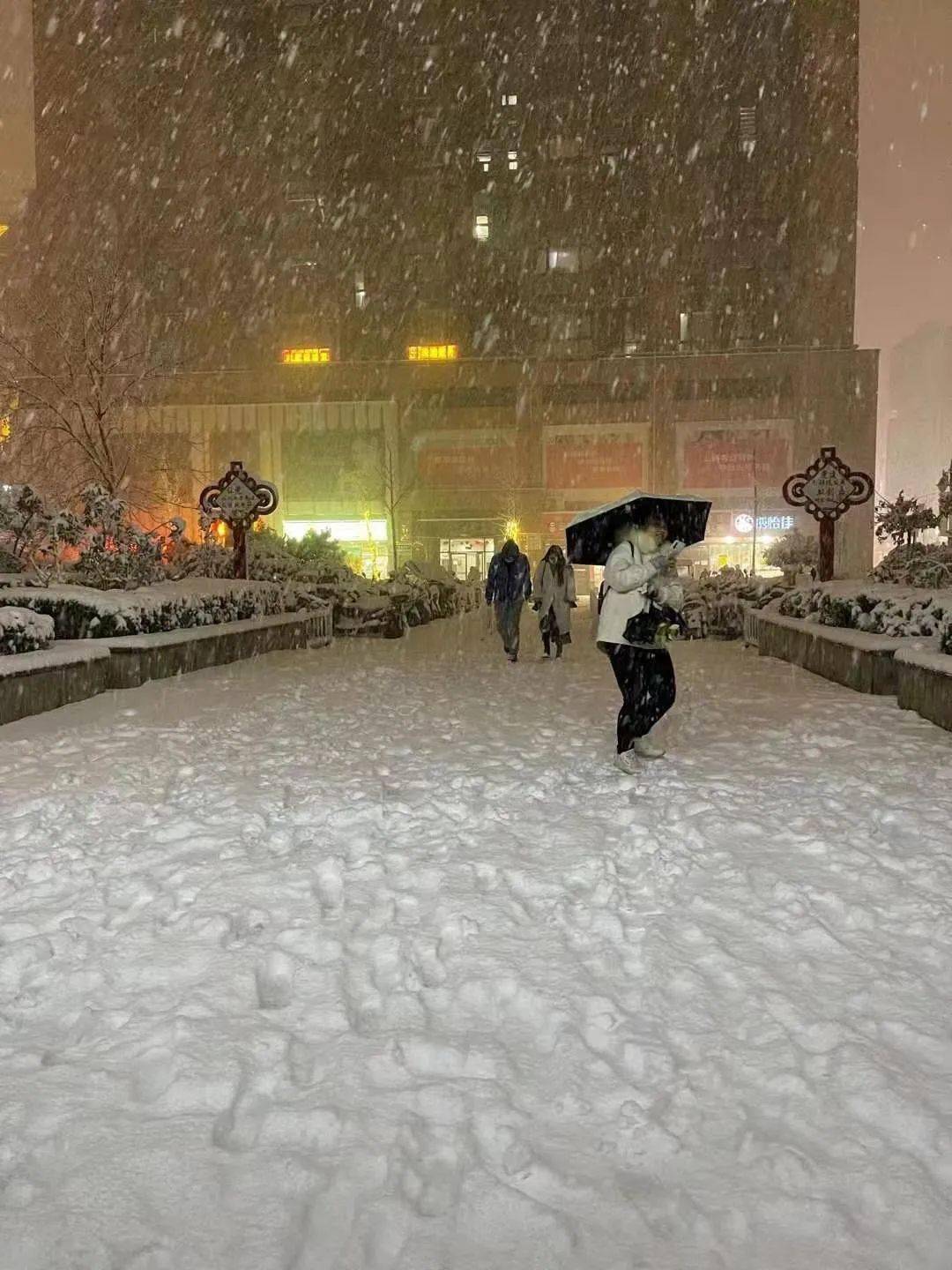 河南或现暴雪大预警！深度解析背后的气象现象与应对之策