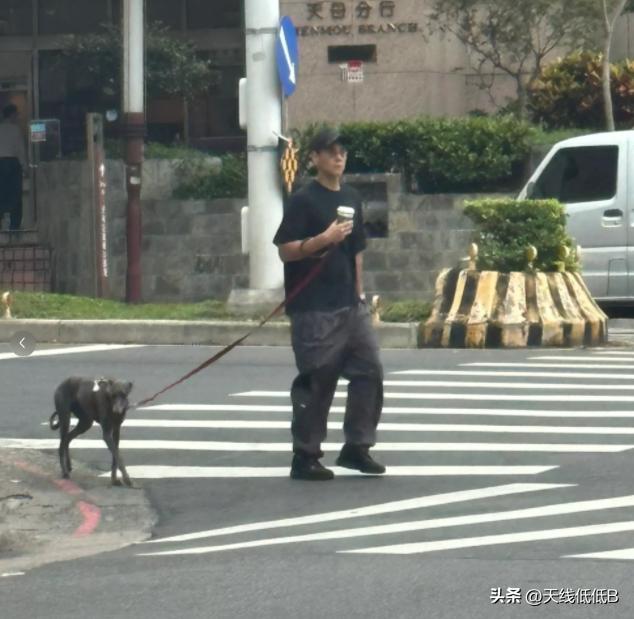 网友偶遇彭于晏与女生亲密遛狗，现场曝光引发热议，究竟发生了什么？