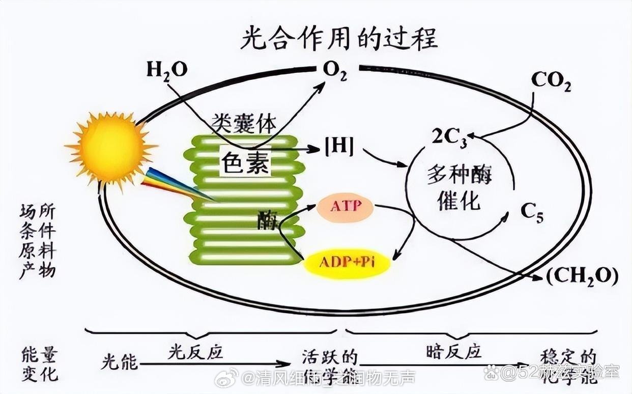 揭秘全合成的奥秘，它究竟意味着什么？