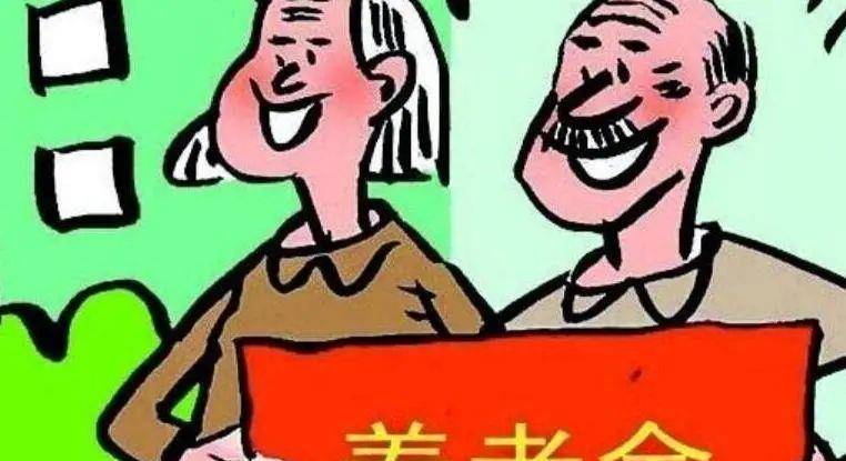 重磅揭秘，农村养老金提升资金源头揭秘！专家权威解读！